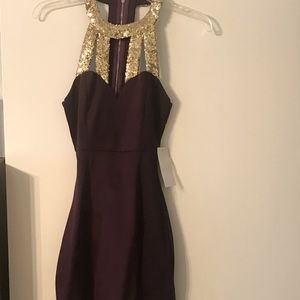 Purple with gold neck clubbing dress